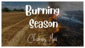 Burning Season Chiang Mai Thumbnail